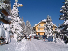 Appartement Aigner